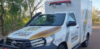 Corpo é encontrado em área de mata às margens da PR-180 em Nova Aurora