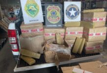 Encomendas por e-commerce escondiam drogas e contrabando e ação conjunta intercepta carga em Cascavel
