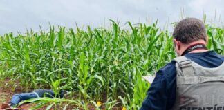 Homem de 34 anos é encontrado morto no interior de Santa Terezinha de Itaipu