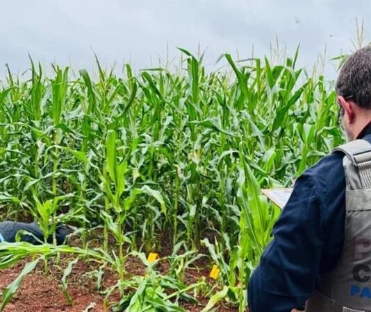 Homem de 34 anos é encontrado morto no interior de Santa Terezinha de Itaipu