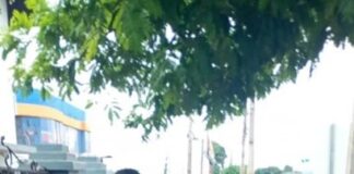 Homem é detido após ameaçar matar ex-companheira em Palotina