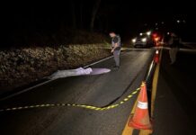 Homem morre atropelado em rodovia da região após ser atingido por vários veículos