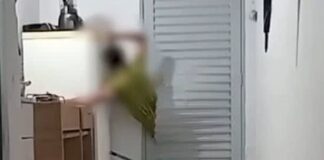 Homem tenta invadir residência em Alto Santa Fé mas polícia chega e marginal foge