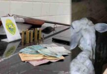 Homens são detidos por receptação de gado furtado em Guaraniaçu