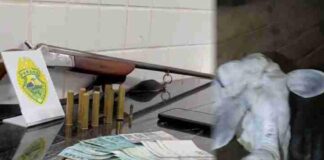 Homens são detidos por receptação de gado furtado em Guaraniaçu