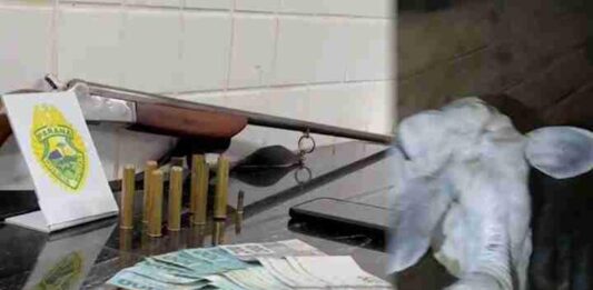 Homens são detidos por receptação de gado furtado em Guaraniaçu