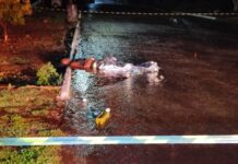 Homem é morto a tiros na Vila Operária em Santa Tereza do Oeste