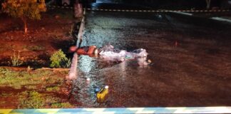 Homem é morto a tiros na Vila Operária em Santa Tereza do Oeste