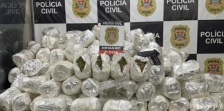 Mais de 130 quilos de maconha e 900 pacotes de cigarros são apreendidos na região