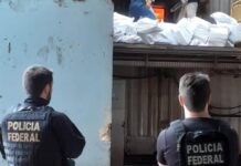 Mais de 5 toneladas de drogas são destruídas em ação da Polícia Federal em Cascavel