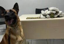 Mulher de 19 anos é flagrada na região com droga colada ao corpo