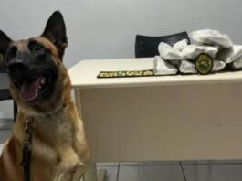 Mulher de 19 anos é flagrada na região com droga colada ao corpo