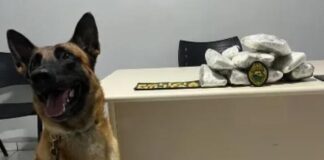 Mulher de 19 anos é flagrada na região com droga colada ao corpo