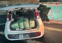 R$ 700 mil em maconha são apreendidos na região em duas ações policiais