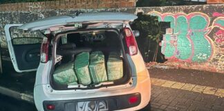 R$ 700 mil em maconha são apreendidos na região em duas ações policiais