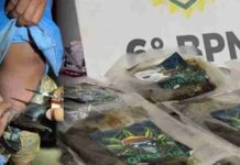 RPA Oeste! Mulheres são presas com 5,1 kg de haxixe colados ao corpo na BR 277