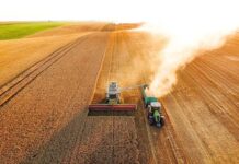 Redução no preço do diesel ameniza o impacto no setor produtivo do Paraná