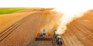 Redução no preço do diesel ameniza o impacto no setor produtivo do Paraná