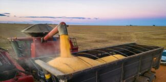 Safra pode chegar a 356,3 milhões de toneladas