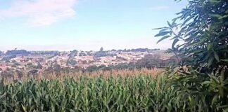 Suspeito foge para mata após abordagem e deixa drogas e tornozeleira rompida em Toledo