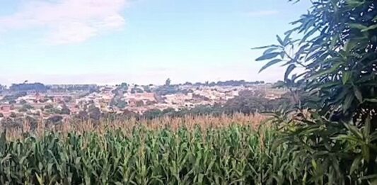 Suspeito foge para mata após abordagem e deixa drogas e tornozeleira rompida em Toledo