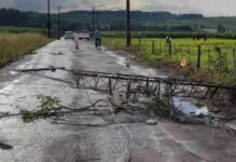Temporal causa estragos e interdita estrada no interior de Marechal Rondon