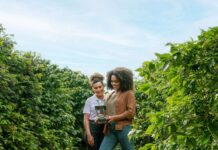 Sicredi reforça liderança no crédito rural do Paraná, com 23,4% do volume liberado