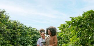 Sicredi reforça liderança no crédito rural do Paraná, com 23,4% do volume liberado