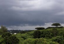 Chuva chega ao Oeste, Sudoeste e Centro-Sul do Paraná e amplitude térmica é destaque