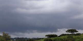Chuva chega ao Oeste, Sudoeste e Centro-Sul do Paraná e amplitude térmica é destaque