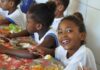 Paraná: Contrata+Brasil facilita compra de R$ 155,6 milhões da agricultura familiar para merenda escolar