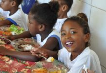 Paraná: Contrata+Brasil facilita compra de R$ 155,6 milhões da agricultura familiar para merenda escolar