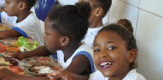 Paraná: Contrata+Brasil facilita compra de R$ 155,6 milhões da agricultura familiar para merenda escolar