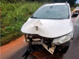 Motorista perde controle da direção e bate em placa na PR-180 em Goioerê