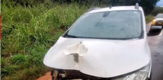 Motorista perde controle da direção e bate em placa na PR-180 em Goioerê
