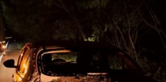 Acidente entre Guaíra e Mercedes envolve dois carros de saúde e duas carretas