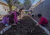 Alunos da escola municipal Reinaldo Arrosi recebem projeto de horta comunitária