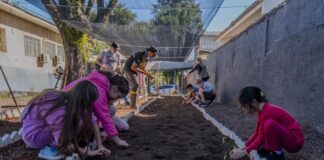 Alunos da escola municipal Reinaldo Arrosi recebem projeto de horta comunitária