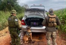 BPFron apreende 300 quilos de maconha após perseguição na zona rural de Guaíra