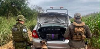 BPFron apreende 300 quilos de maconha após perseguição na zona rural de Guaíra