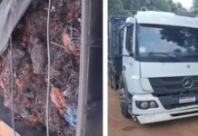 Bandidos fortemente armados roubam caminhão carregado com R$ 500 mil em cobre na região