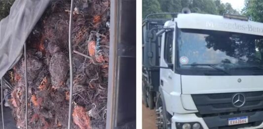 Bandidos fortemente armados roubam caminhão carregado com R$ 500 mil em cobre na região
