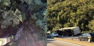 Caminhão cai de viaduto de 80 metros e mulher morre após ser ejetada da cabine no Paraná