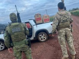 Carga de contrabando é abandonada em plantação de milho de Guaíra