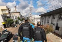 Carga de maconha escondida sob milho é interceptada pela Polícia Civil no Paraná