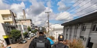Carga de maconha escondida sob milho é interceptada pela Polícia Civil no Paraná