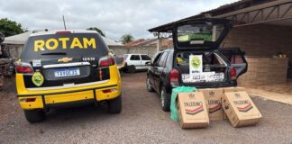 Carro carregado com cigarros do Paraguai é interceptado em rodovia da região de Terra Roxa
