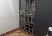 Homem é preso carregando televisão furtada pelas ruas do Jardim Europa em Toledo