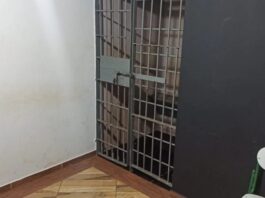 Homem é preso carregando televisão furtada pelas ruas do Jardim Europa em Toledo