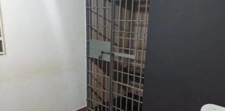 Homem é preso carregando televisão furtada pelas ruas do Jardim Europa em Toledo